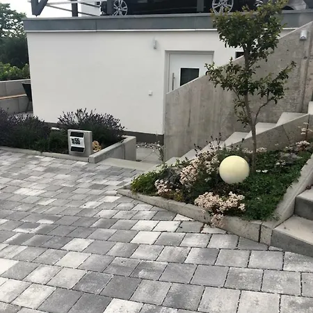 No.55 *