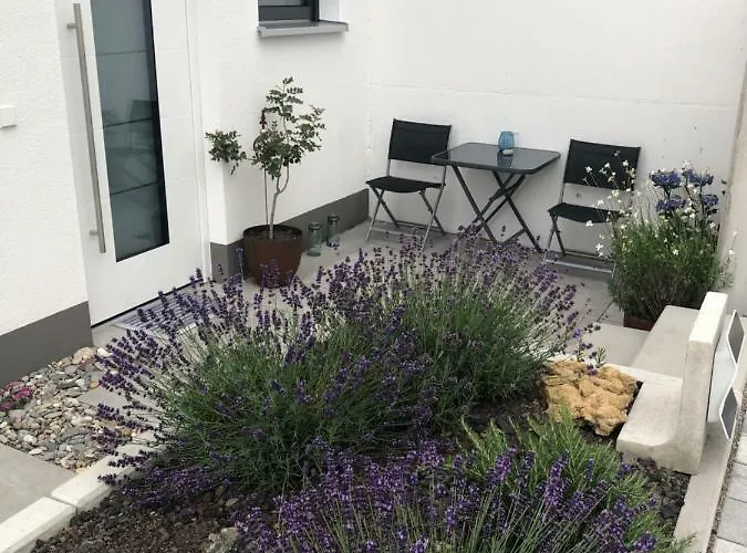 Апартаменты No.55